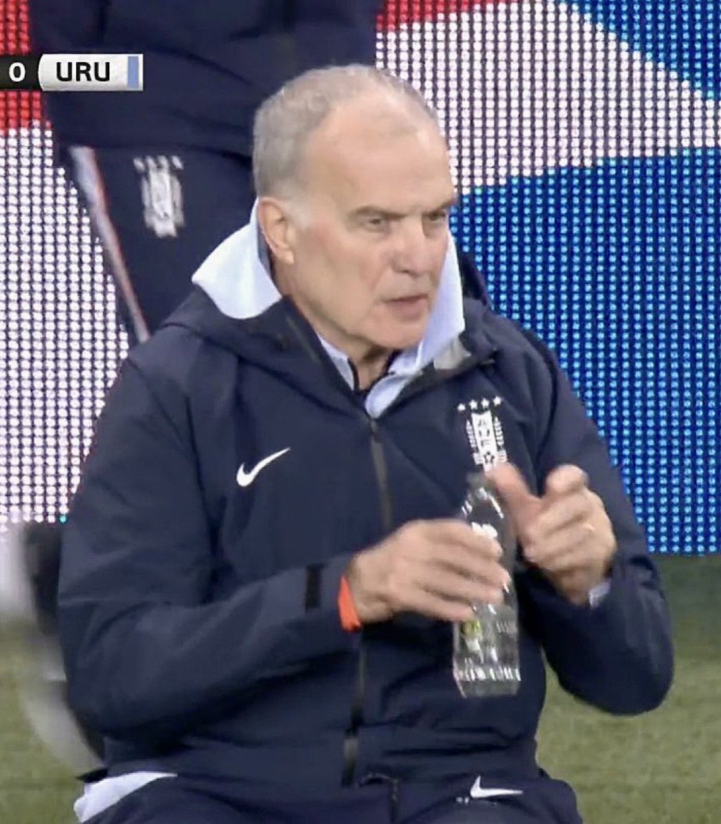 Palmeiras da Depressão tweet media