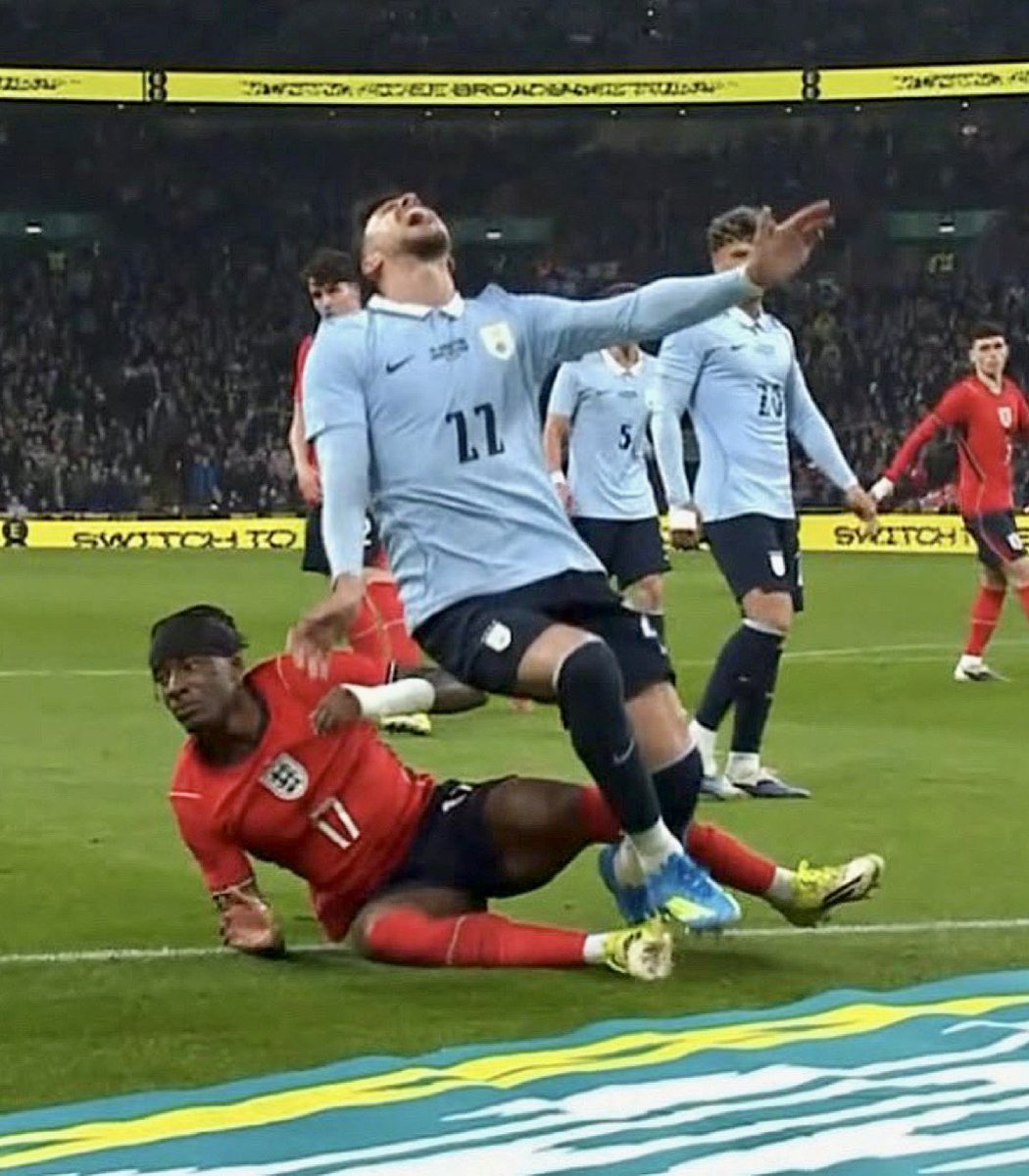 Palmeiras da Depressão tweet media