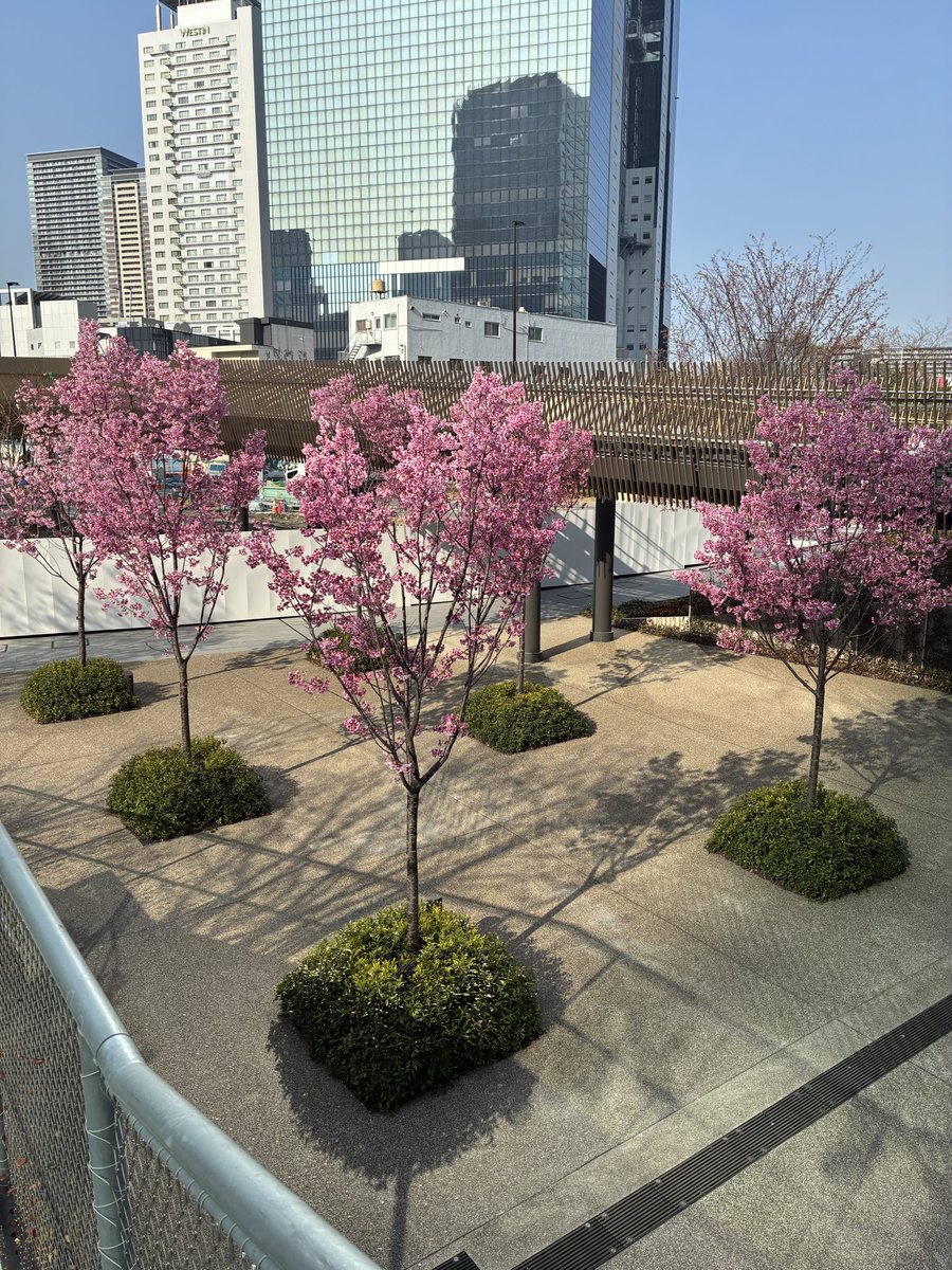 ごえもん tweet media