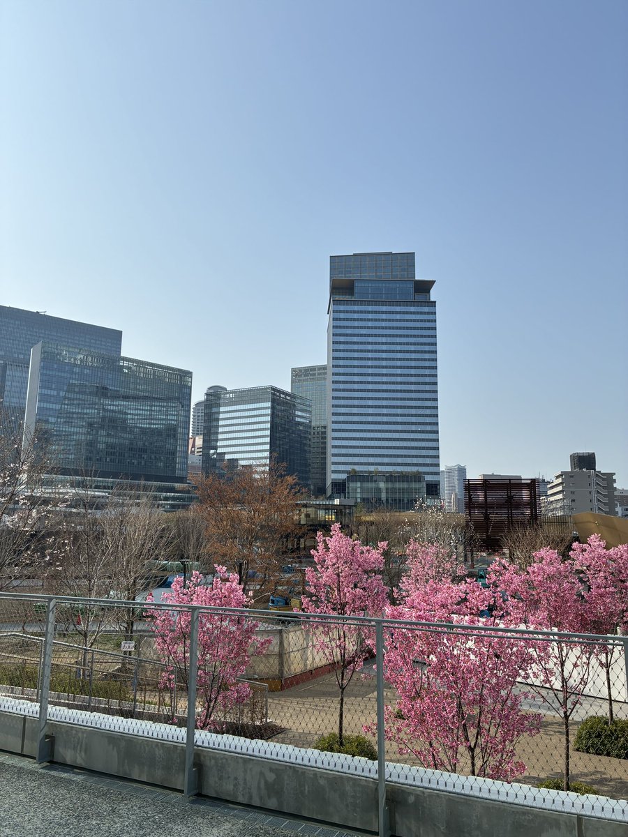 ごえもん tweet media