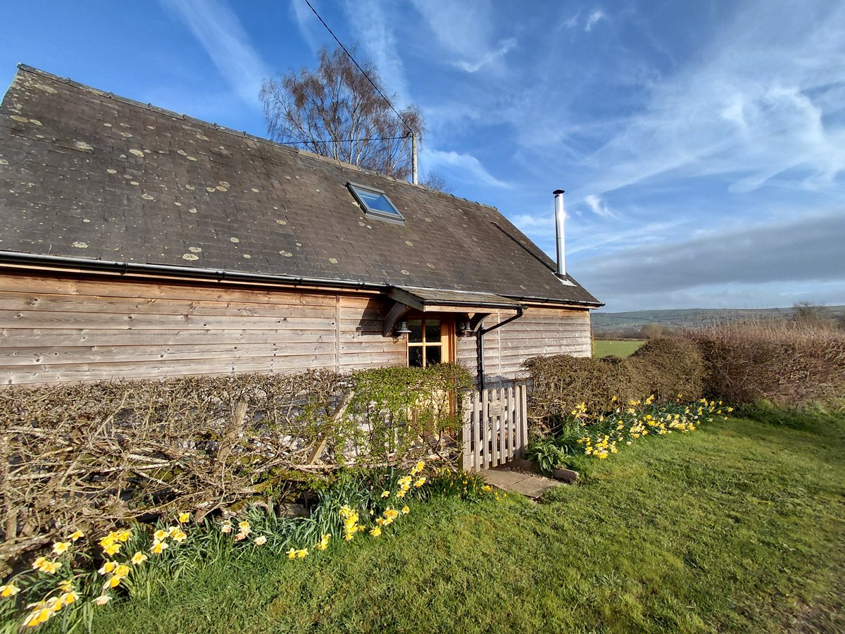 Jenny Donnelly💜🌹💙 tweet media