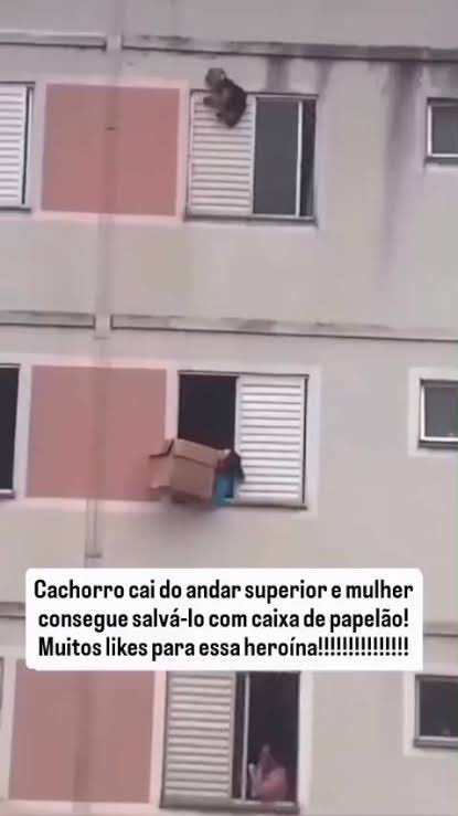 Binance Radius tweet media