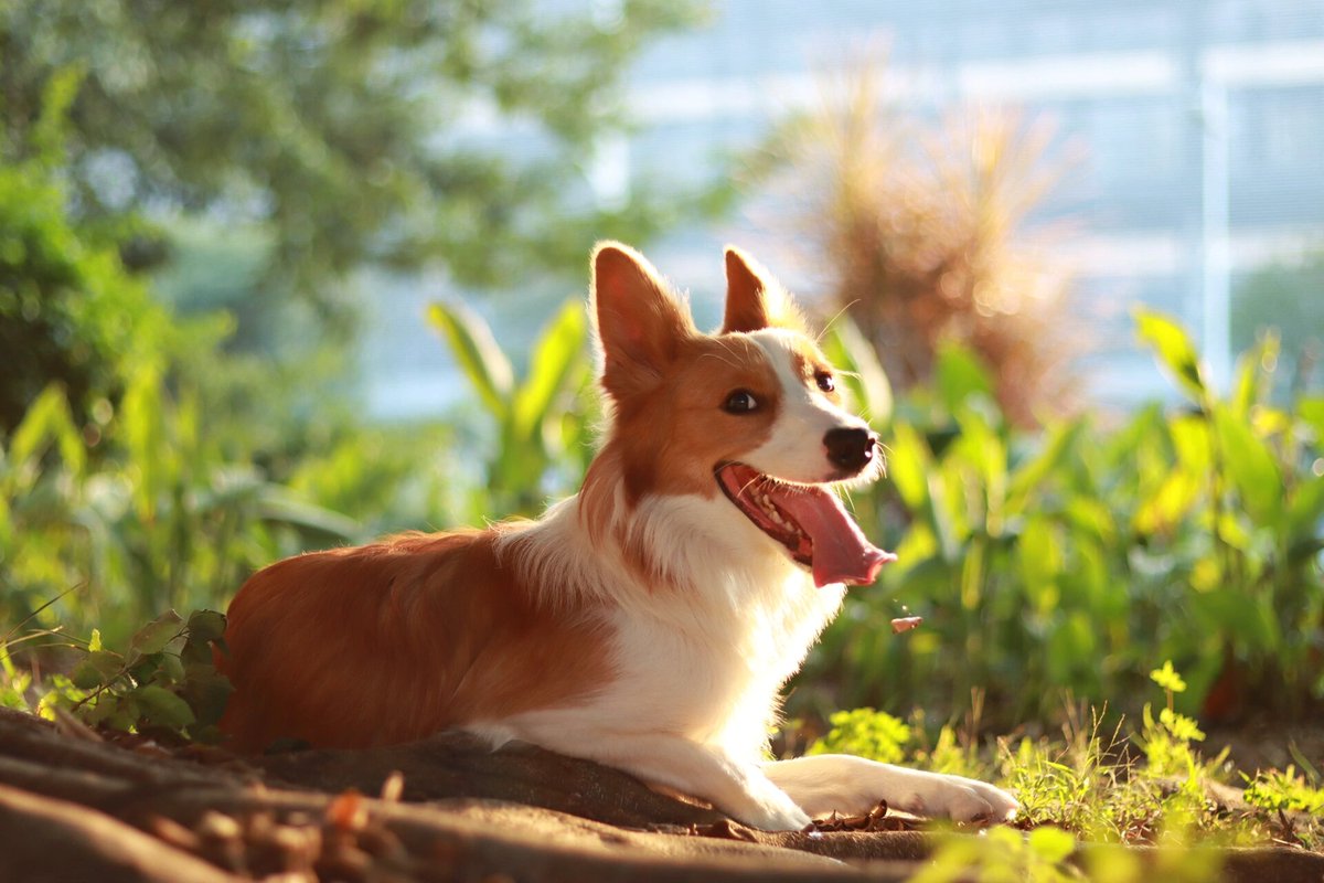 DearSweetNightmares tweet media