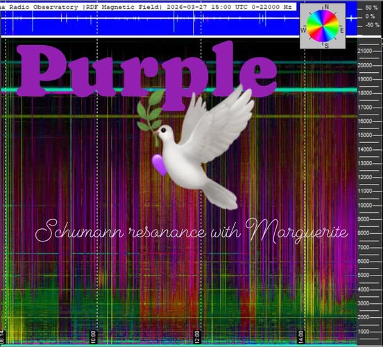 Paul White Gold Eagle tweet media