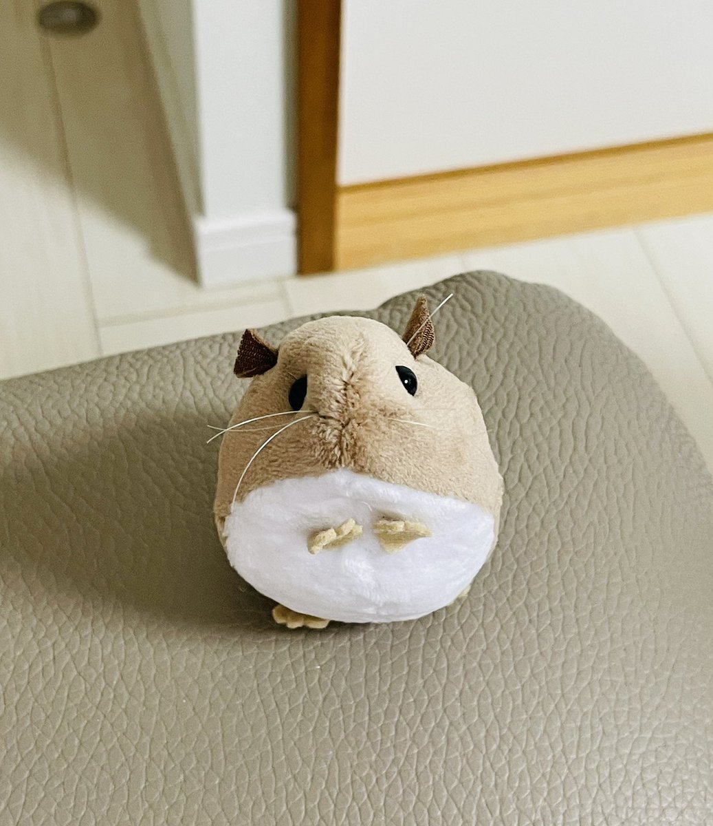 ponpoco1117's tweet photo. 完成しました。居るというより出た感あるけど理想の齧歯類が作れました https://t.co/Hm0hdgiL8K