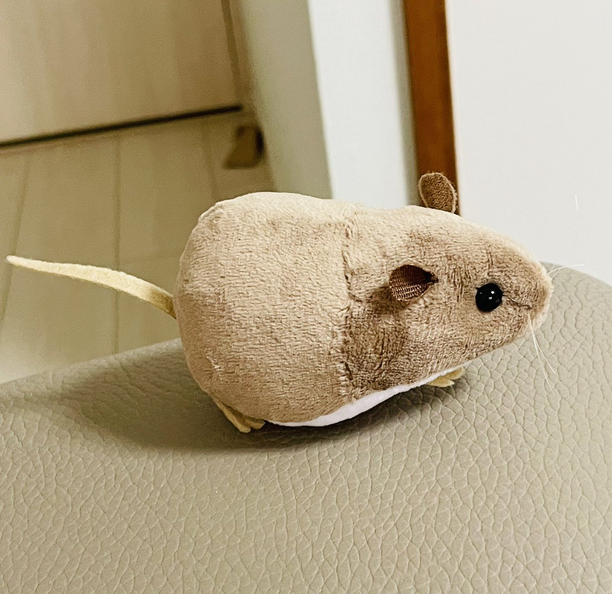 ponpoco1117's tweet photo. 完成しました。居るというより出た感あるけど理想の齧歯類が作れました https://t.co/Hm0hdgiL8K