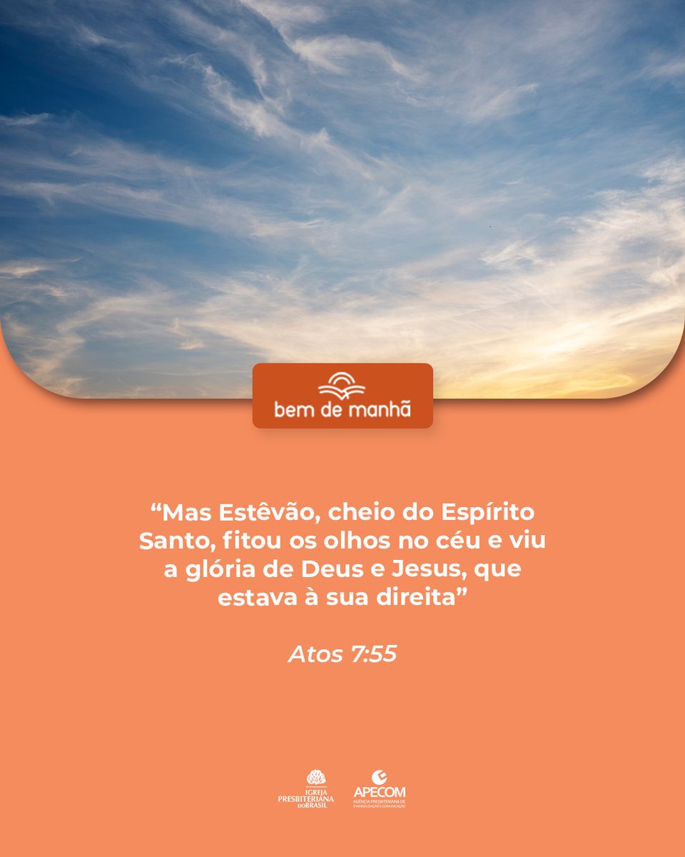 Igreja Presbiteriana tweet media