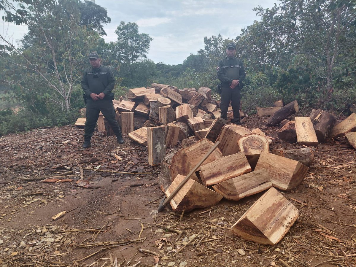 PoliciaVaupes's tweet image. @CarabinerosCol en patrullajes por la vía Monfort, detectó minería artesanal y uso ilegal de madera. 

Se incautaron 6 m³ y se dejaron a disposición de la #CDA para el proceso sancionatorio.

@PoliciaColombia 
#SemanaSantaSegura 
#S2D
#DiosYPatria