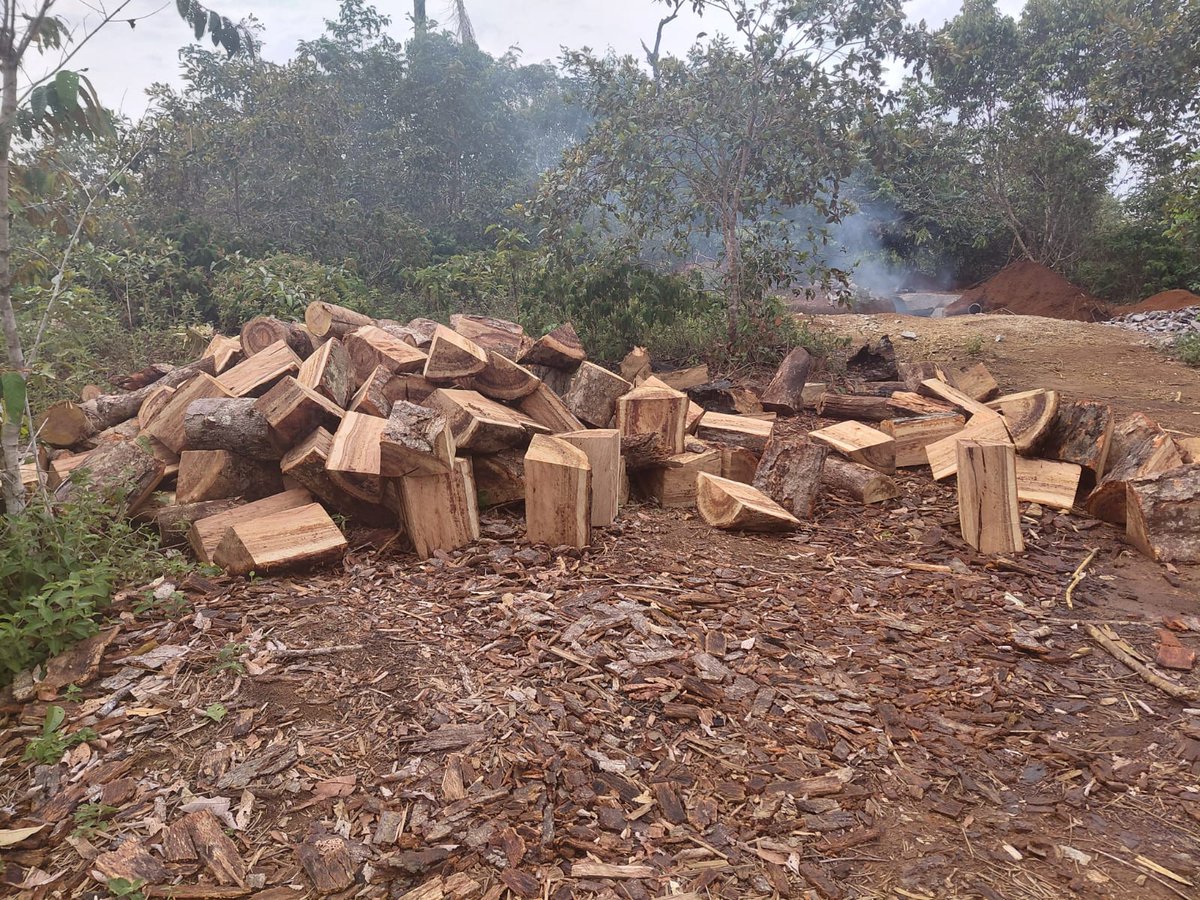 PoliciaVaupes's tweet image. @CarabinerosCol en patrullajes por la vía Monfort, detectó minería artesanal y uso ilegal de madera. 

Se incautaron 6 m³ y se dejaron a disposición de la #CDA para el proceso sancionatorio.

@PoliciaColombia 
#SemanaSantaSegura 
#S2D
#DiosYPatria