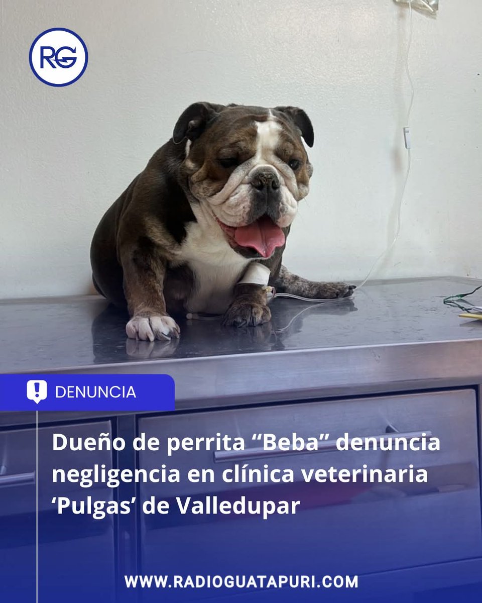 Luis Francisco Herreño Guevara PACHONOTICIAS.COL tweet media