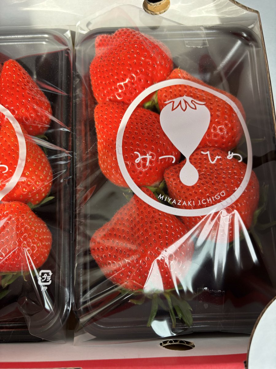 RN.みんちゃん(ひむかみんどらや) tweet media