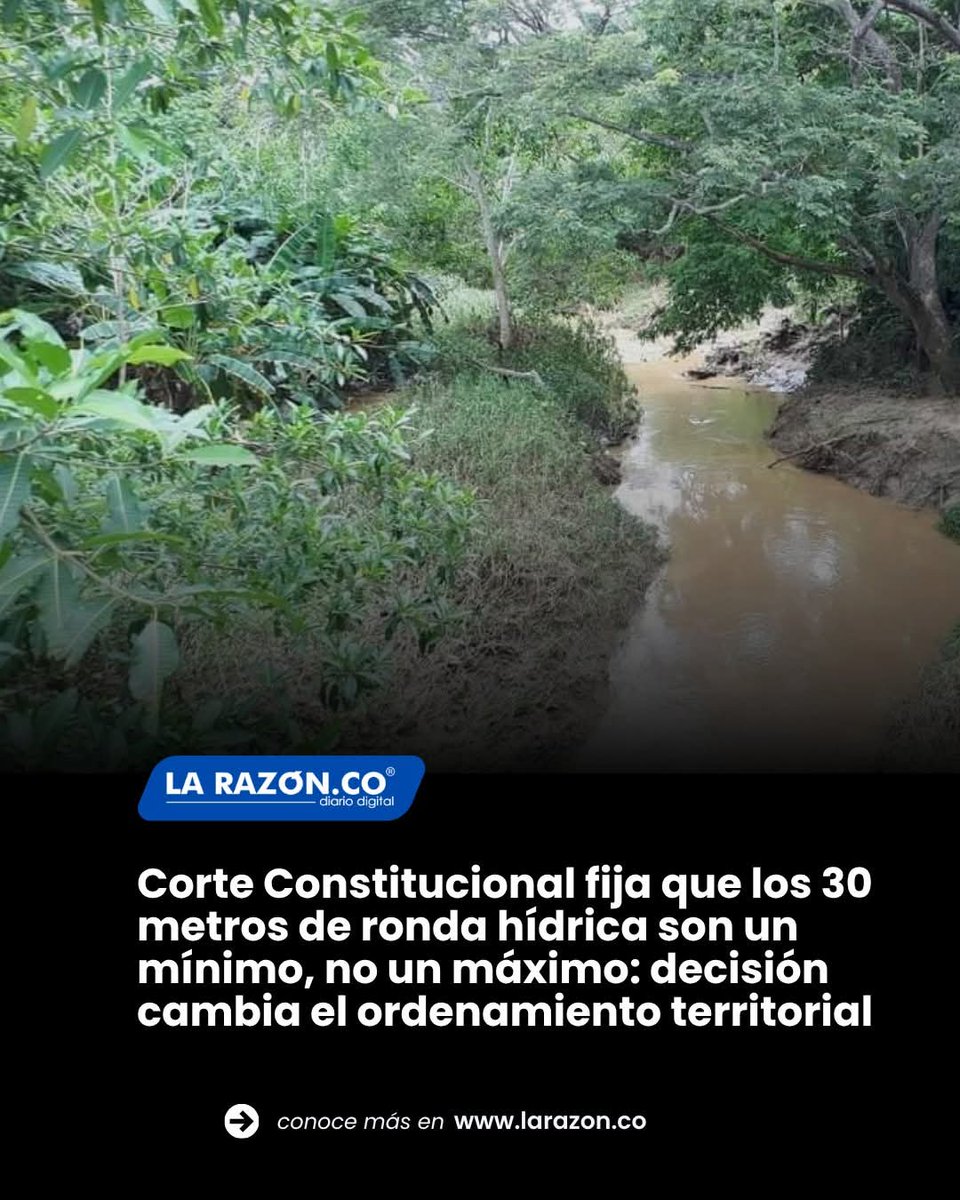 Luis Francisco Herreño Guevara PACHONOTICIAS.COL tweet media