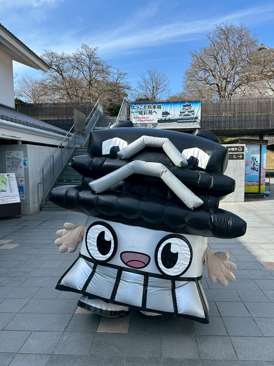 ひごまる【公式】 tweet media