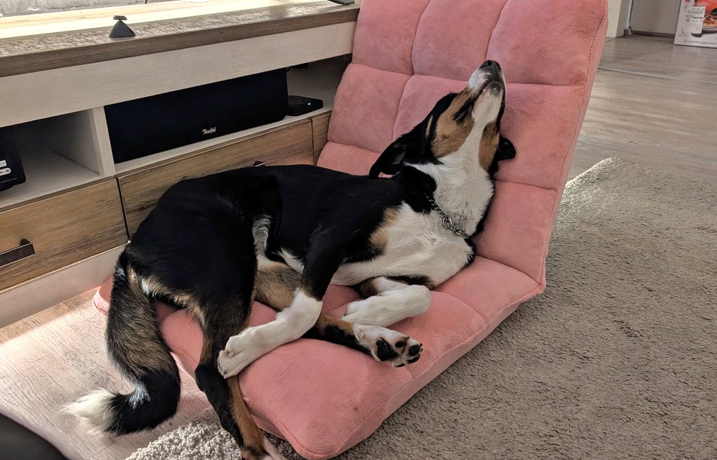 Mr. Mireri tweet media