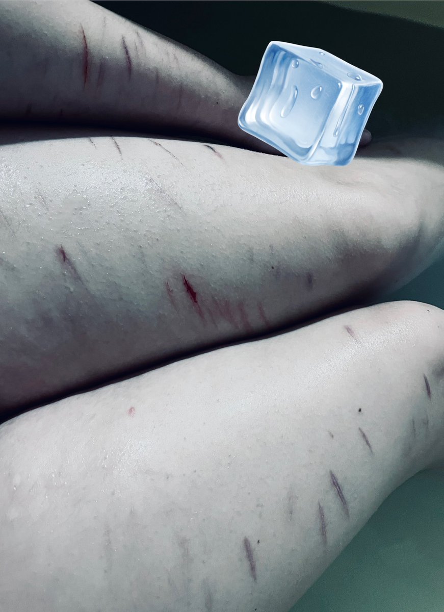 kayden (˶ᵔ ᵕ ᵔ˶) tweet media