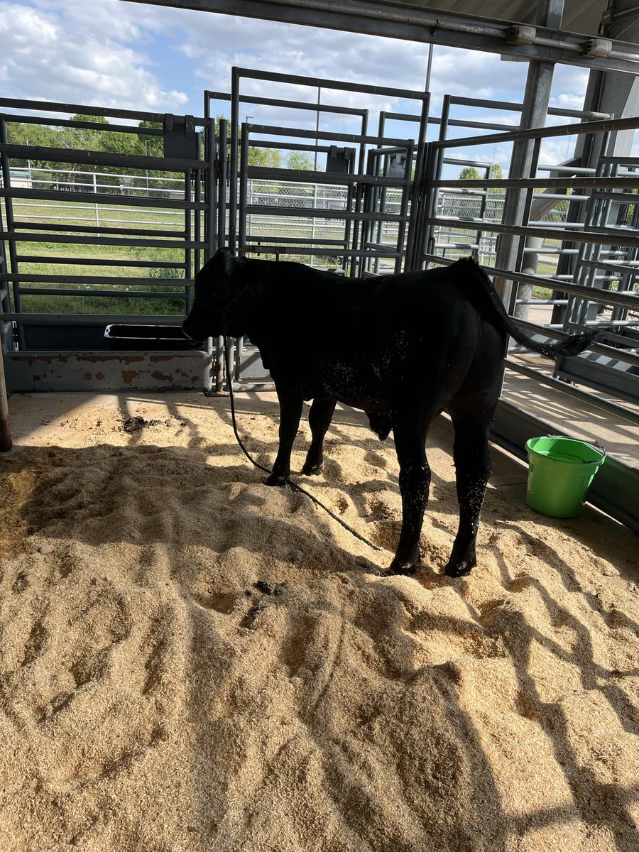 Hightower FFA tweet media