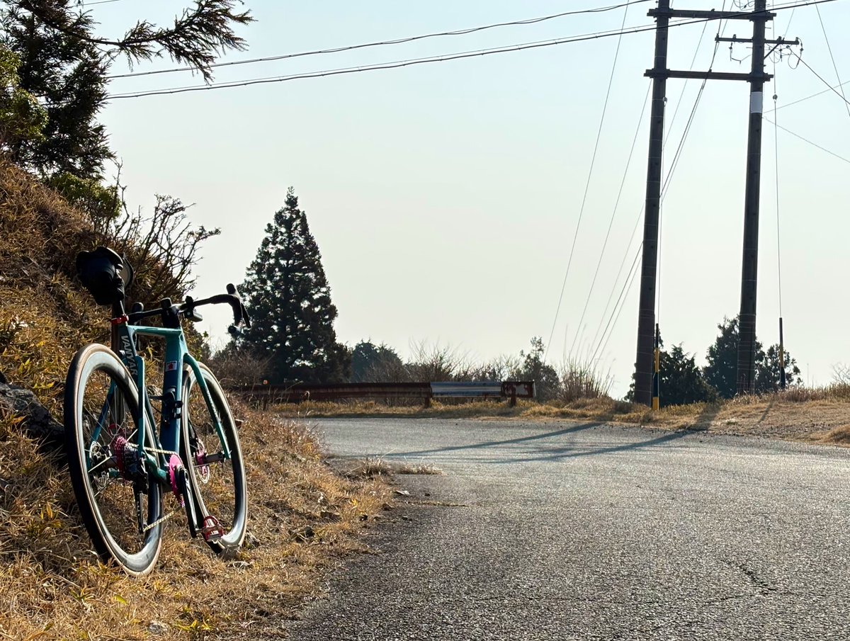 もりや農園 tweet media