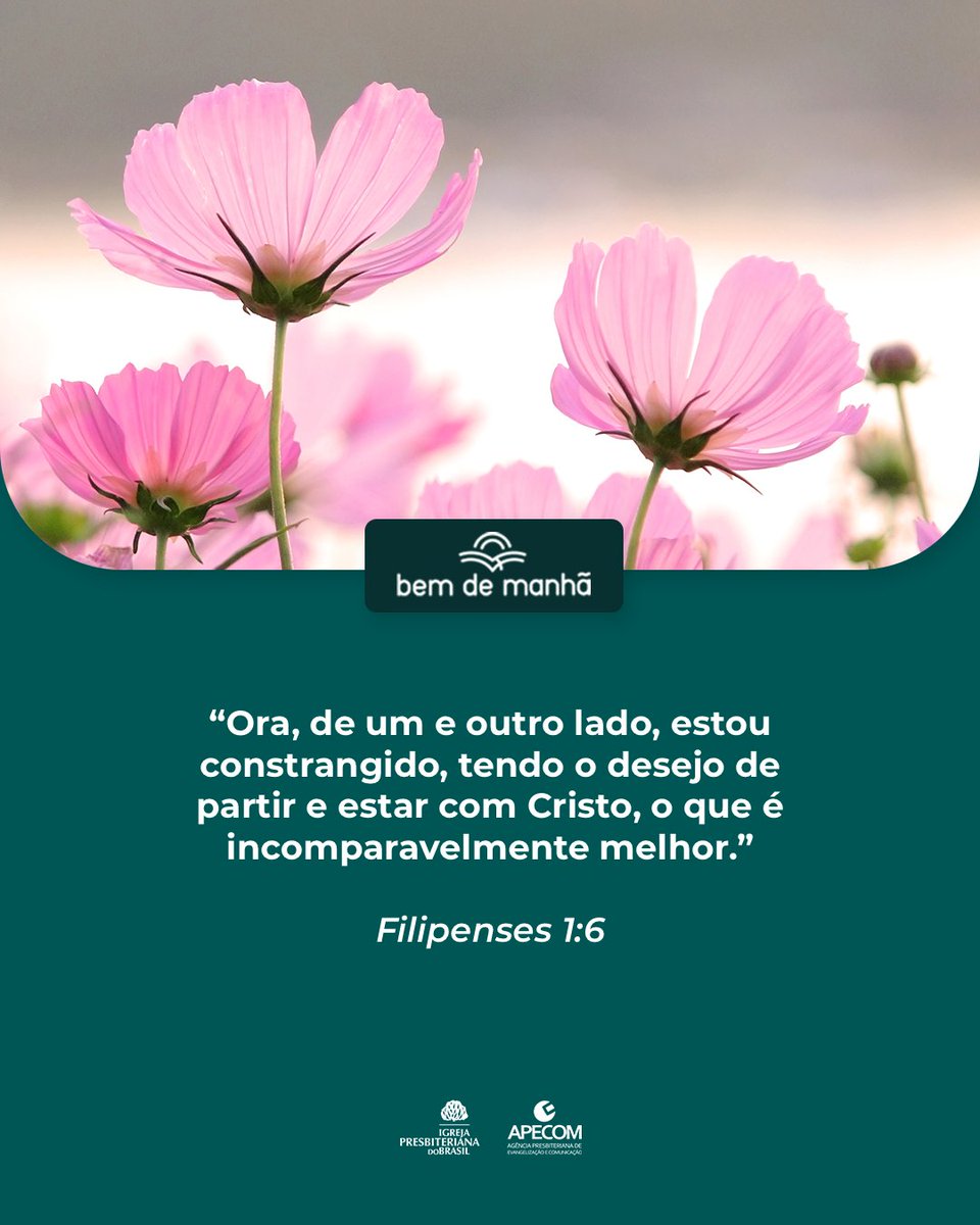 Igreja Presbiteriana tweet media