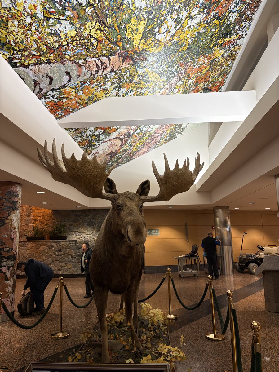 It seems ludicrous that the Ted Stevens International airport in Anchorage, Alaska is named after a guy that died in a plane crash.