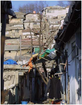 アオさぎ tweet media