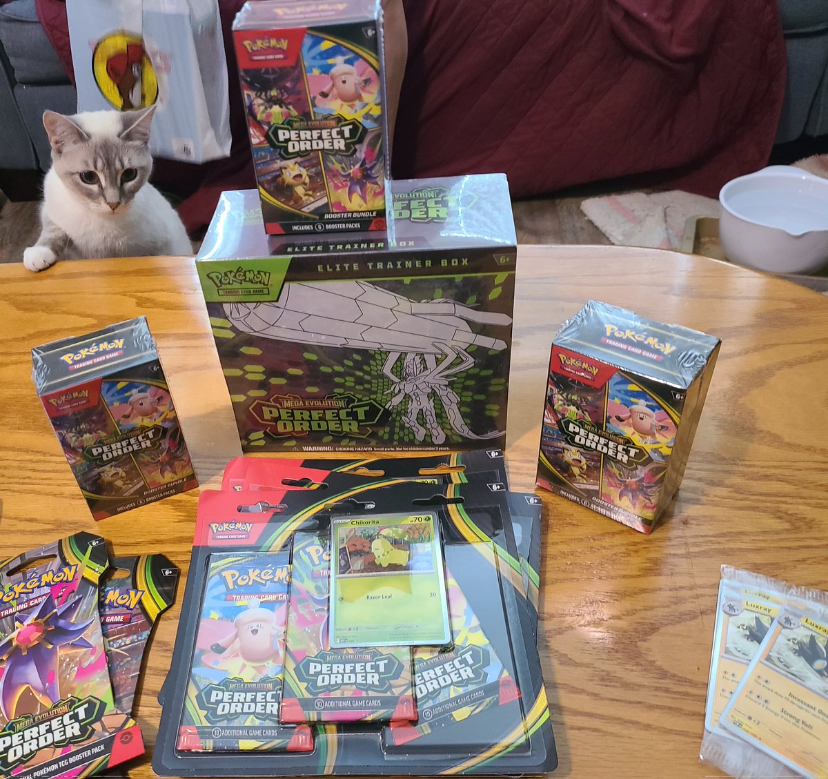 Lucario the Rogue tweet media