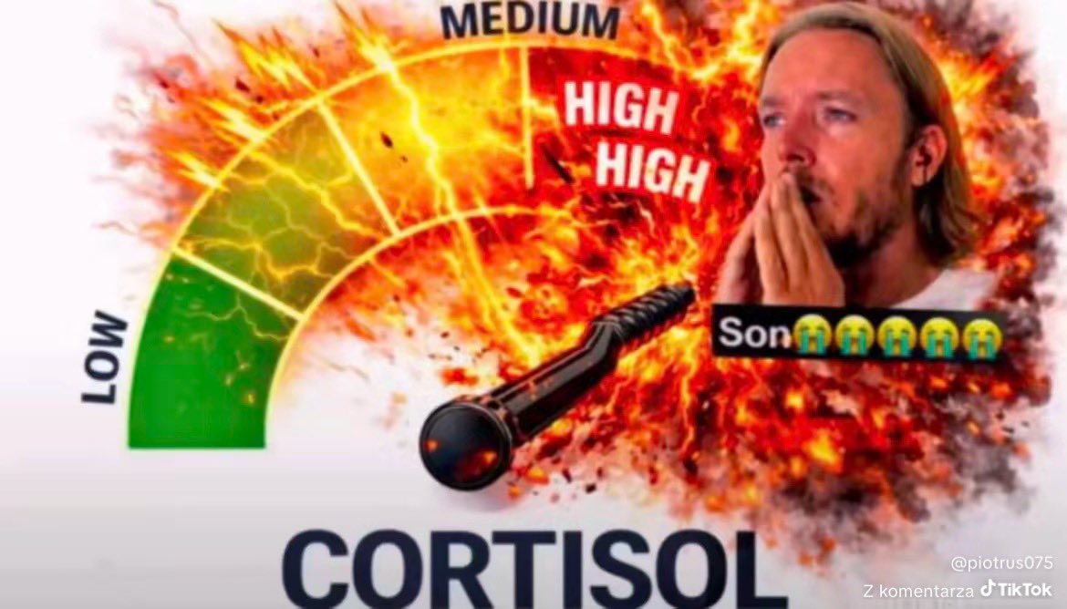 sixteenmirrors tweet media