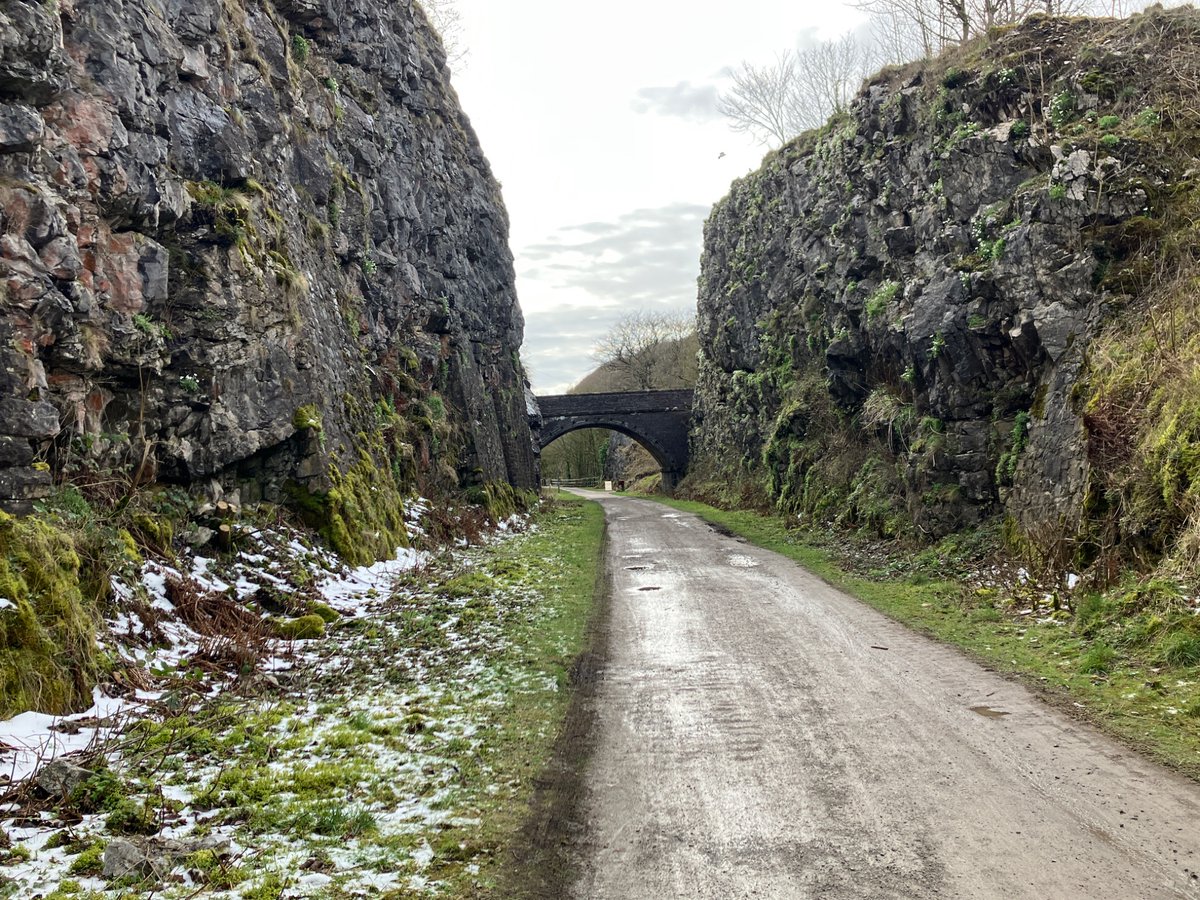 A Walkers Tale tweet media