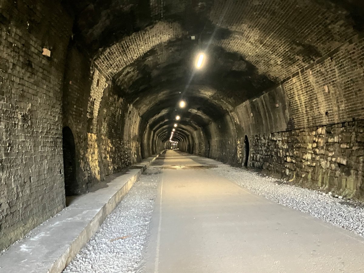 A Walkers Tale tweet media