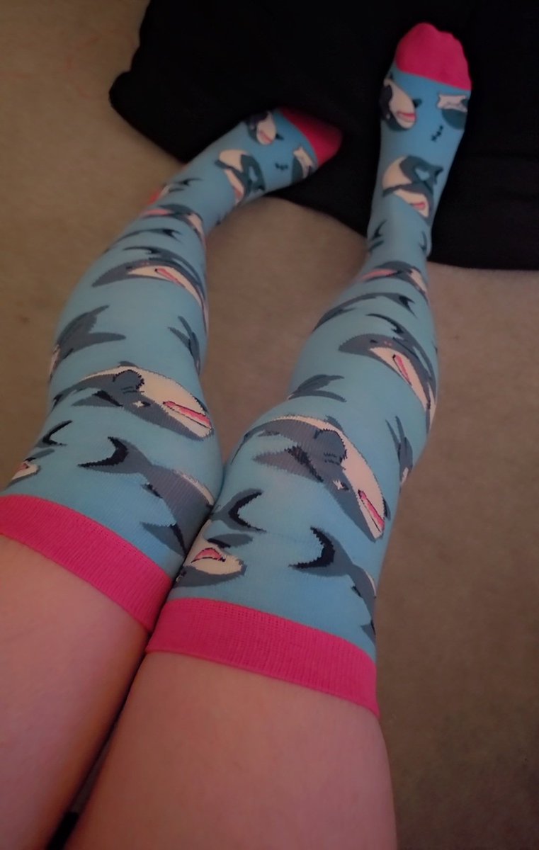 Miya_pup's tweet photo. Got some cute blahaj socks :3 https://t.co/DIzx7CboFR