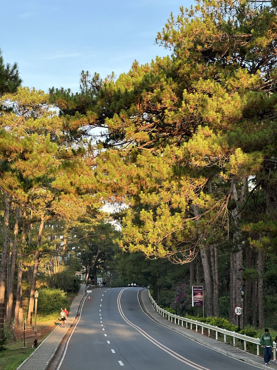 Serein 🟥 tweet media