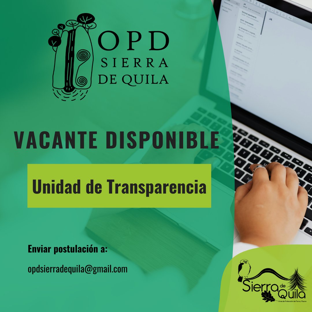 ¿Quieres formar parte del equipo del OPD #SierraDeQuila?

Consulta las bases 👉sierradequila.mx/_files/ugd/532…

#opdsierradequila #Tecolotlán #Tenamaxtlán #Atengo #Ameca #Cocula #SanMartínHidalgo #Transparencia
