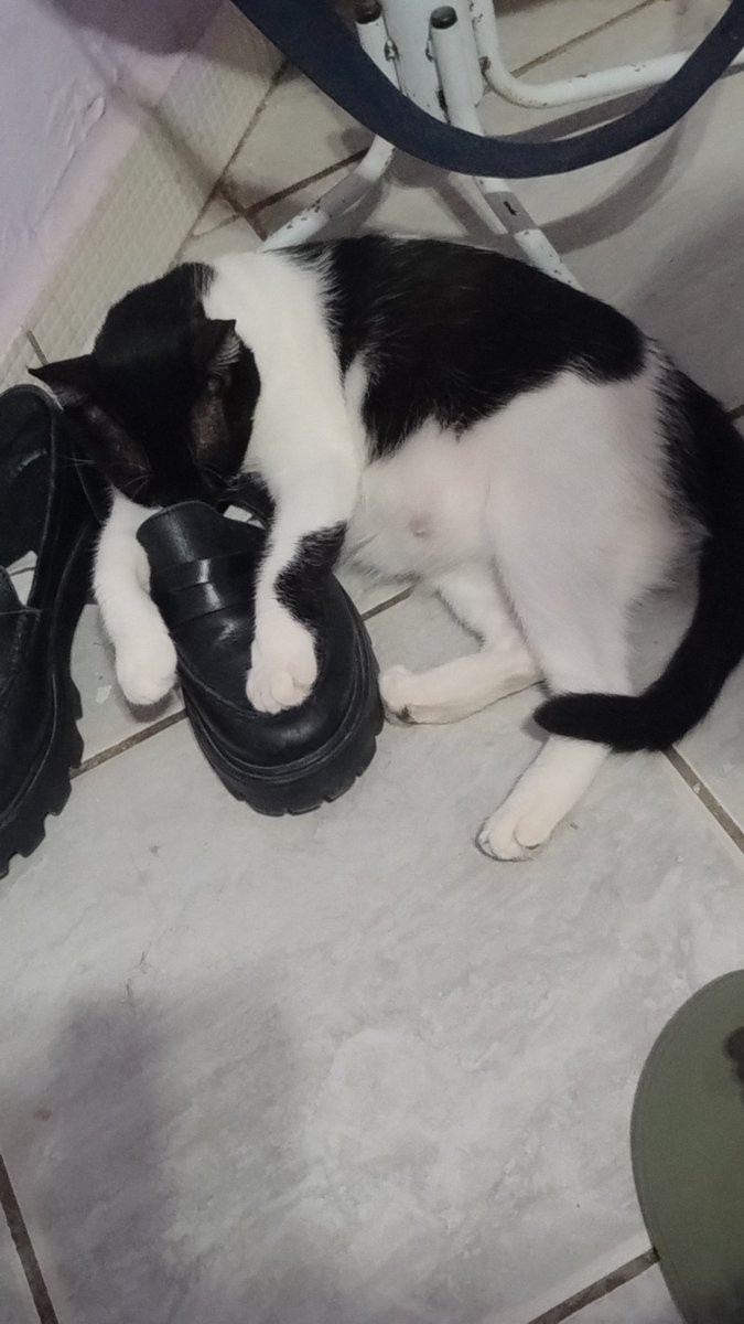 usuário tweet media