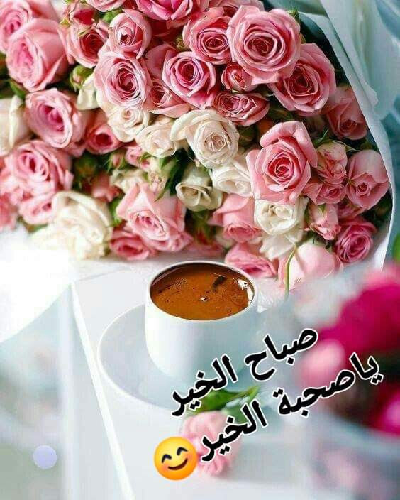 elsaiedemam's tweet photo. @muna_ali19 https://t.co/rA0Tq2GmWR