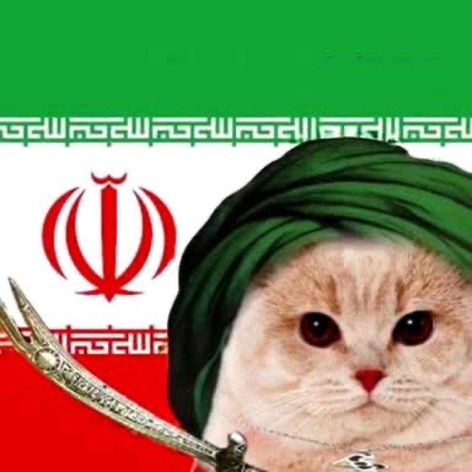 Kaiserfish tweet media