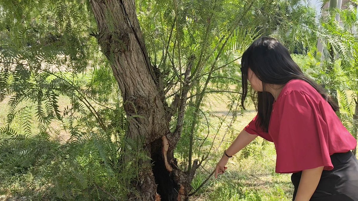 Edison Rentería tweet media