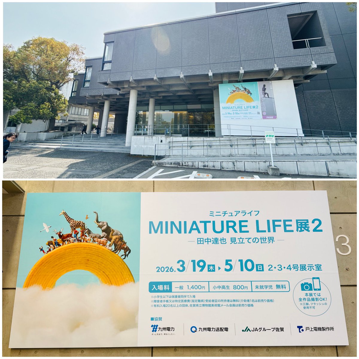 マンボウ tweet media