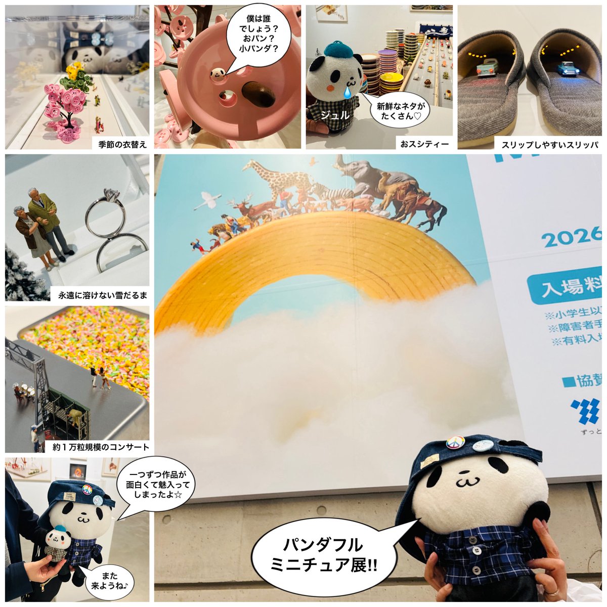 マンボウ tweet media