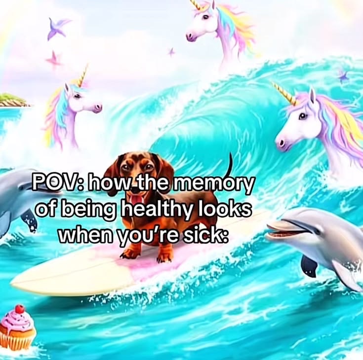 dex 💫 tweet media