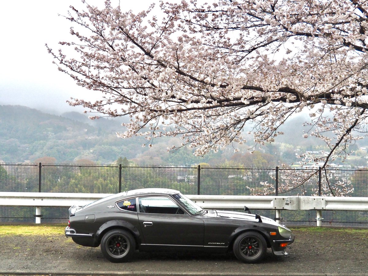 yasaimeijin0240's tweet image. 毎年この時期は津久井湖。🌸
おすすめの桜スポットです。🌸
#s30z #240z #津久井湖 #お花見スポット