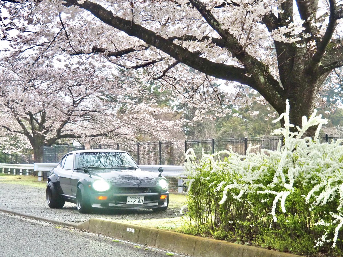 yasaimeijin0240's tweet image. 毎年この時期は津久井湖。🌸
おすすめの桜スポットです。🌸
#s30z #240z #津久井湖 #お花見スポット
