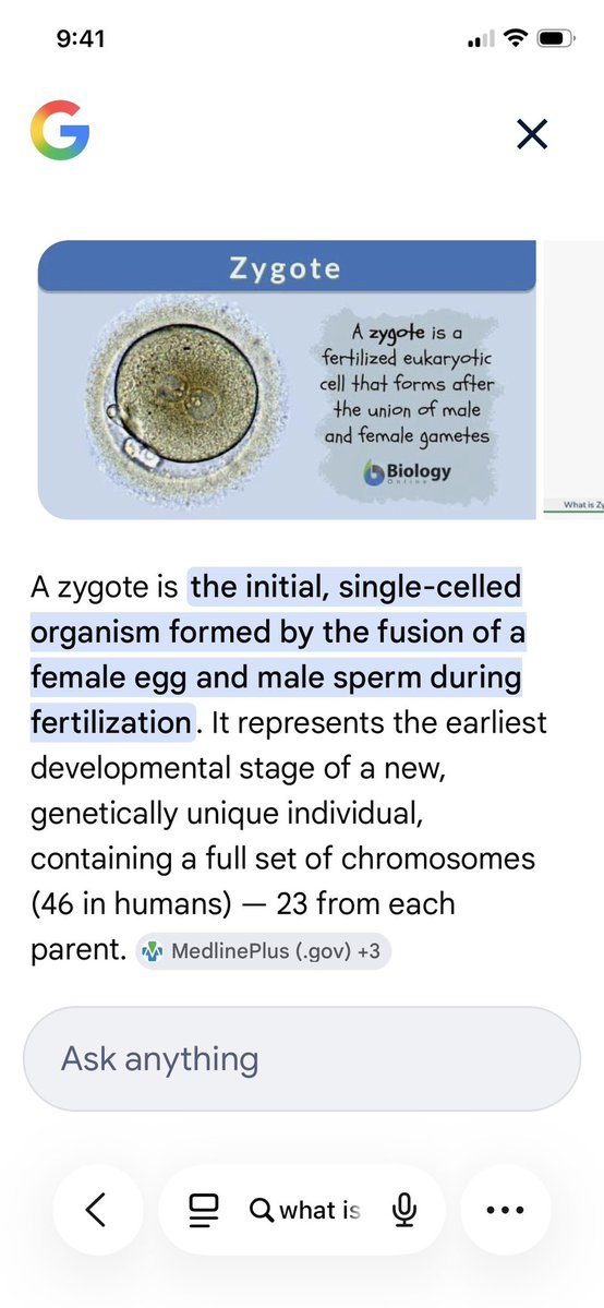 Mary Lou tweet media