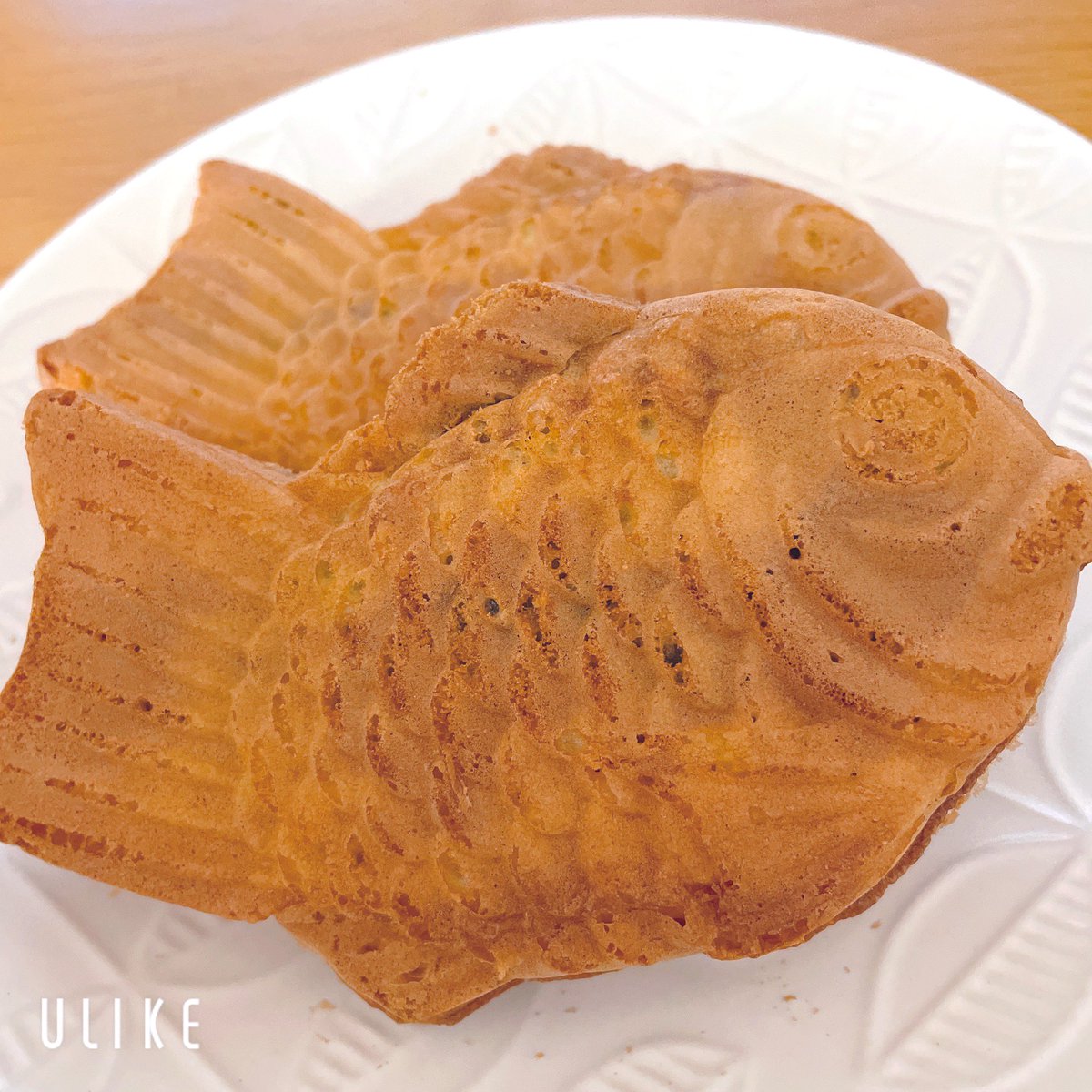 うぉる tweet media