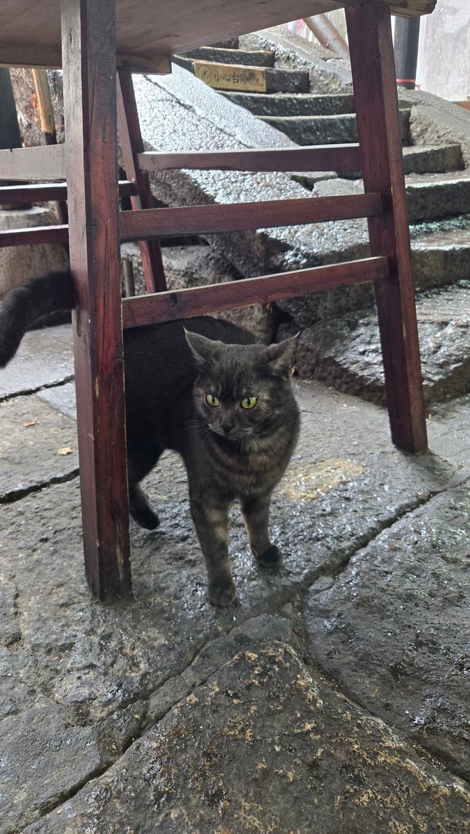 Masayuki Manabe tweet media