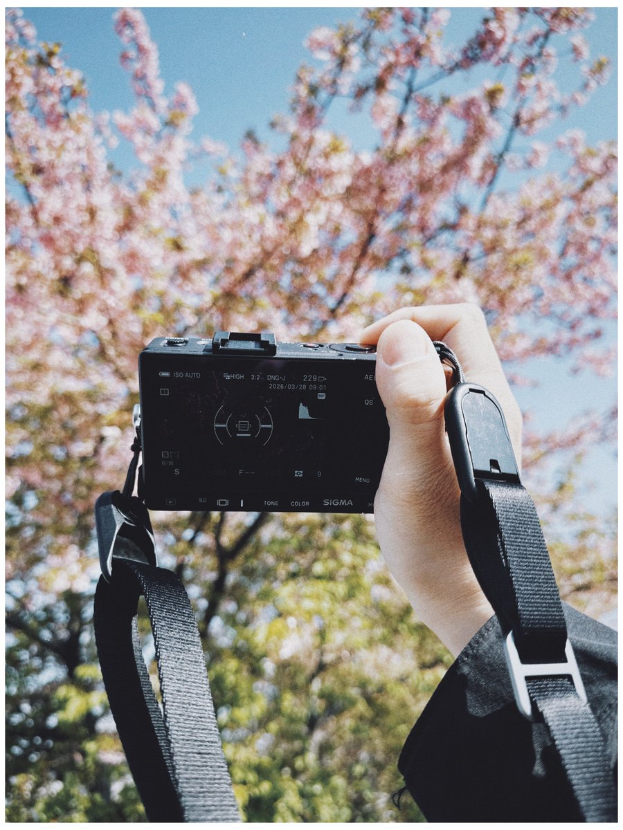 本間 恭介 / Creative Director tweet media