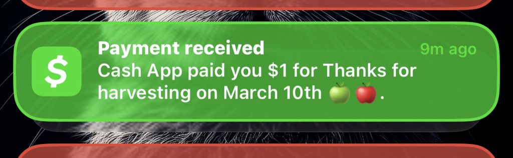 BunnyRabbit tweet media