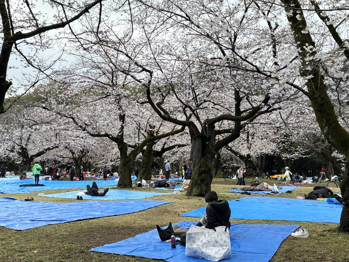 いしもとめぐみ@取材・インタビューライター×管理栄養士 tweet media