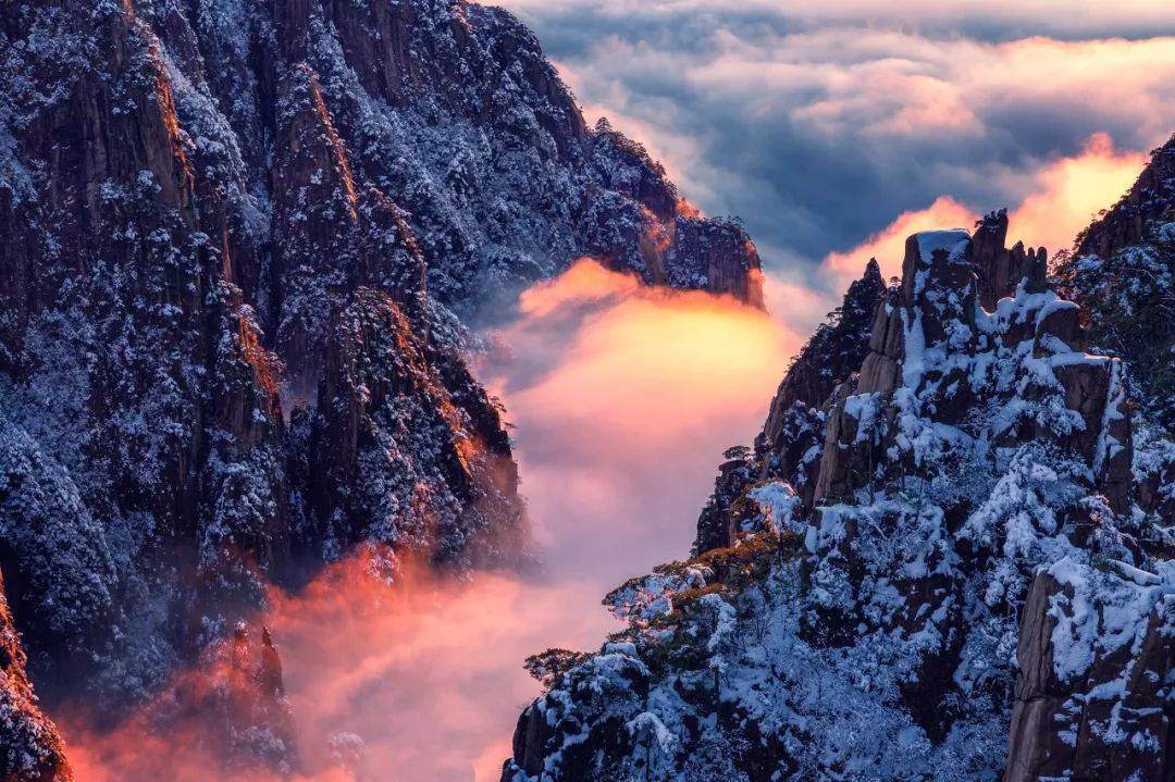 Dan Monroe tweet media