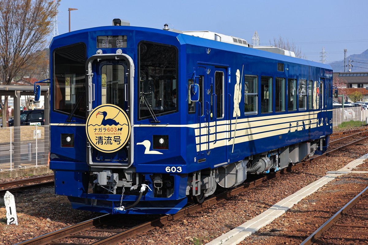 長良川鉄道 ナガラ603 臨時 清流号 出発式 関駅では桜と撮れました