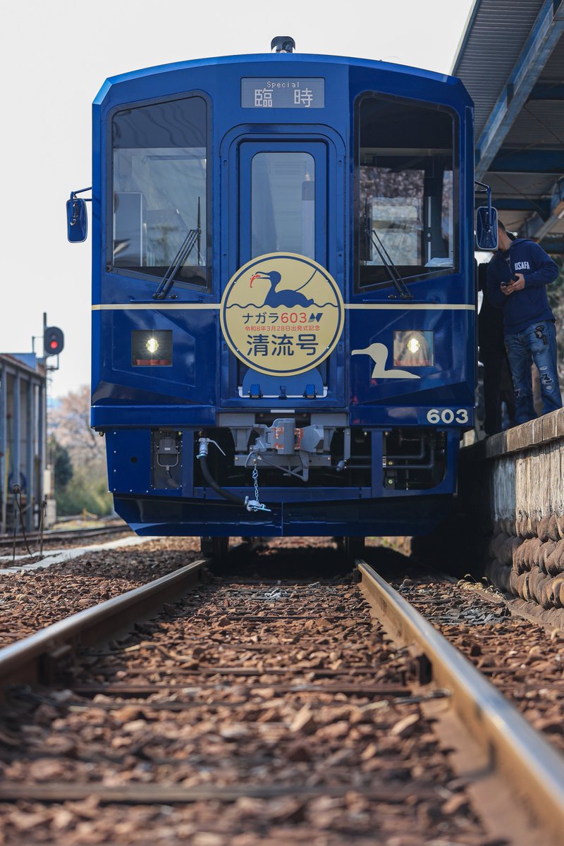 長良川鉄道 ナガラ603 臨時 清流号 出発式 関駅では桜と撮れました