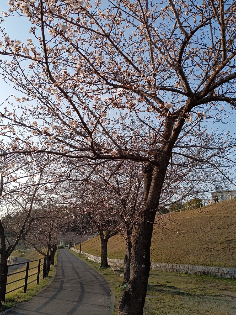 進之介 tweet media